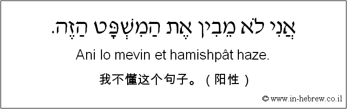 中文和希伯来语: 我不懂这个句子。（阳性）
