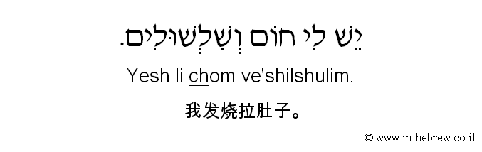 中文和希伯来语: 我发烧拉肚子。