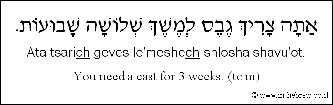 English to Hebrew: You need a cast for 3 weeks. ( to m )