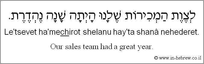 English to Hebrew: Our sales team had a great year.