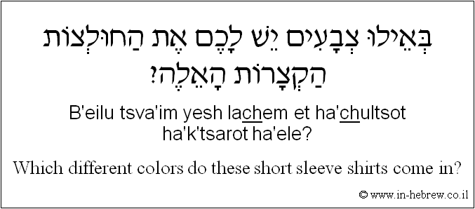 English to Hebrew: Which different colors do these short sleeve shirts come in?