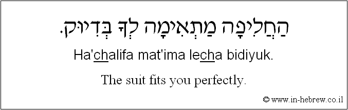 English to Hebrew: The suit fits you perfectly.