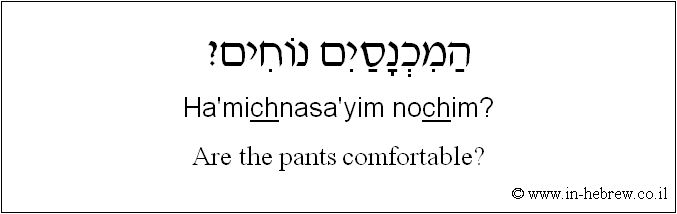 English to Hebrew: Are the pants comfortable?
