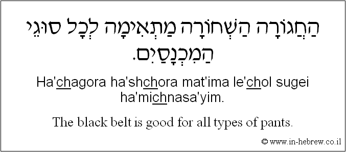 English to Hebrew: The black belt is good for all types of pants.