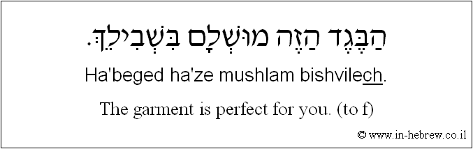 English to Hebrew: The garment is perfect for you. ( to f )