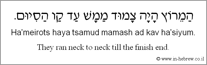 English to Hebrew: They ran neck to neck till the finish end.