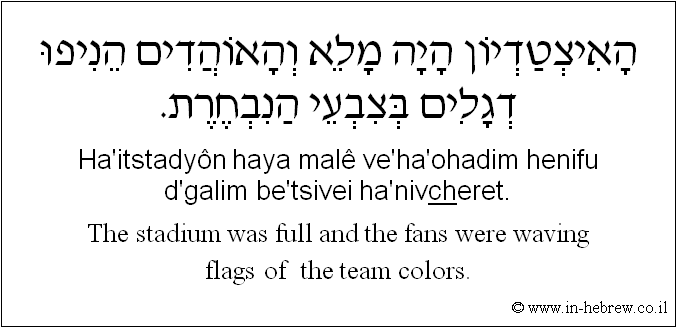 English to Hebrew: The stadium was full and the fans were waving flags of  the team colors.