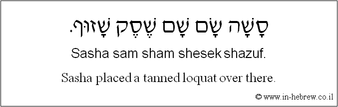 English to Hebrew: Sasha placed a tanned loquat over there.