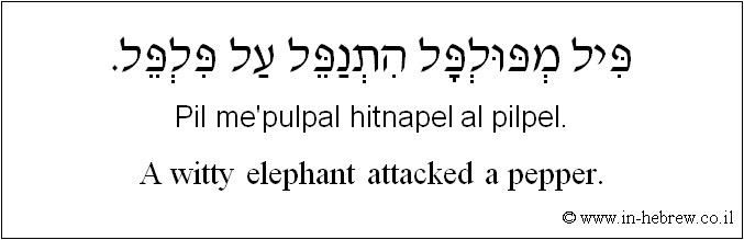 English to Hebrew: A witty elephant attacked a pepper.