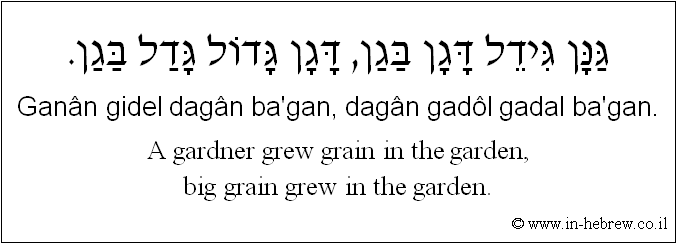 English to Hebrew: A gardner grew grain in the garden, big grain grew in the garden.
