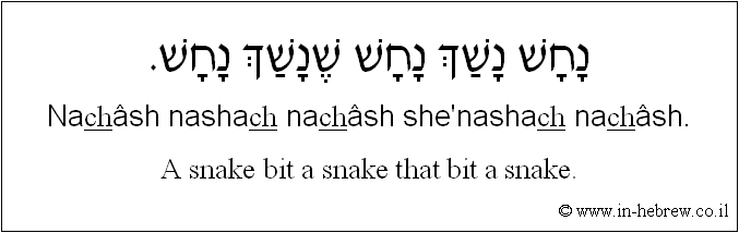 English to Hebrew: A snake bit a snake that bit a snake.