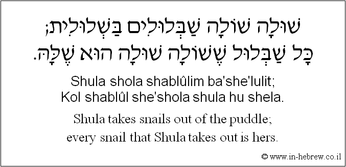English to Hebrew: Shula takes snails out of the puddle; every snail that Shula takes out is hers.