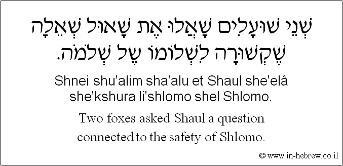English to Hebrew: Two foxes asked Shaul a question connected to the safety of Shlomo.