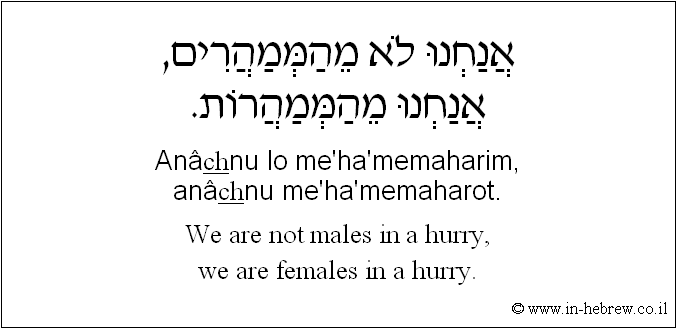 English to Hebrew: We are not males in a hurry, we are females in a hurry.