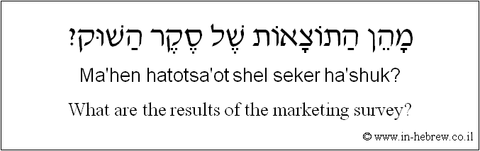 English to Hebrew: What are the results of the marketing survey?