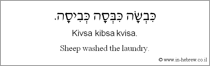 English to Hebrew: Sheep washed the laundry.