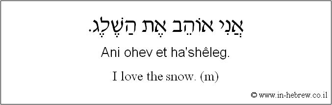 English to Hebrew: I love the snow. ( m )