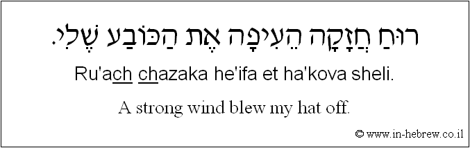 English to Hebrew: A strong wind blew my hat off.