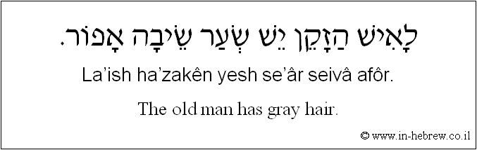 English to Hebrew: The old man has gray hair.