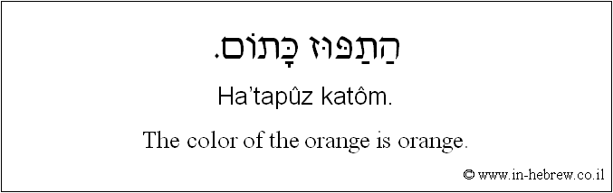 English to Hebrew: The color of the orange is orange.