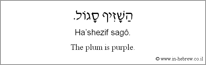 English to Hebrew: The plum is purple.