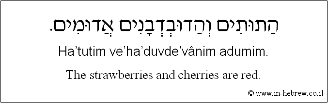English to Hebrew: The strawberries and cherries are red.