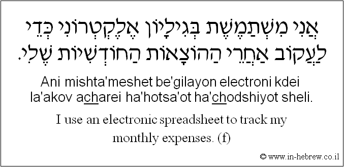 English to Hebrew: I use an electronic spreadsheet to track my monthly expenses. ( f )