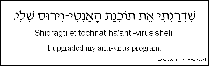 English to Hebrew: I upgraded my anti-virus program.
