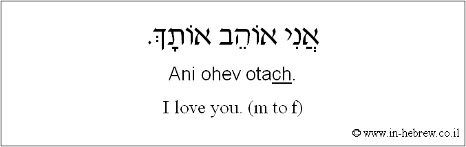 English to Hebrew: I love you. ( m to f )