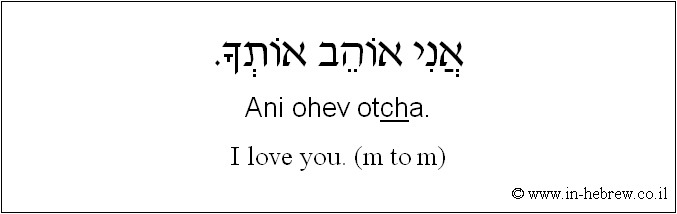 English to Hebrew: I love you. ( m to m )