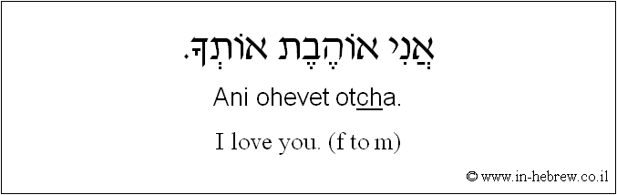English to Hebrew: I love you. ( f to m )