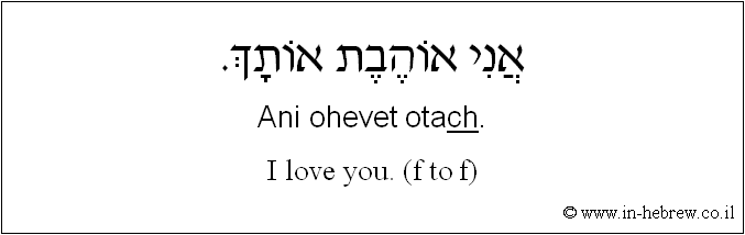 English to Hebrew: I love you. ( f to f )