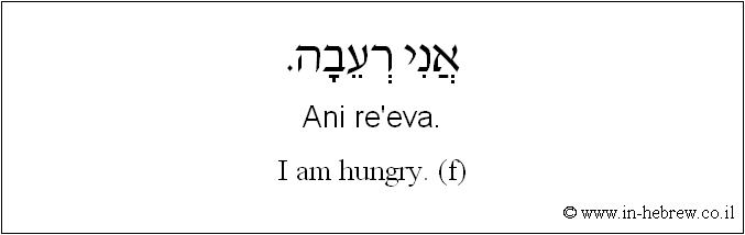 English to Hebrew: I am hungry. ( f )