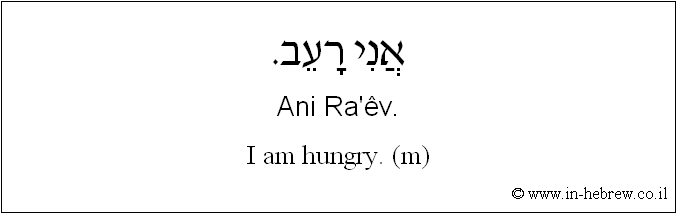 English to Hebrew: I am hungry. ( m )