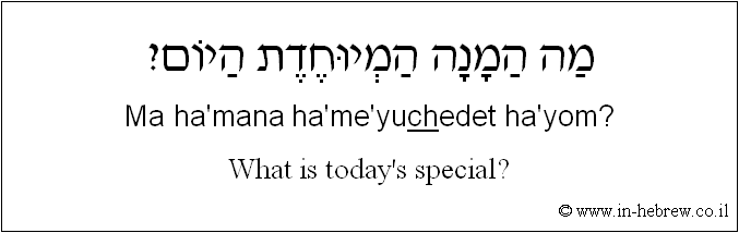 English to Hebrew: What is today's special?