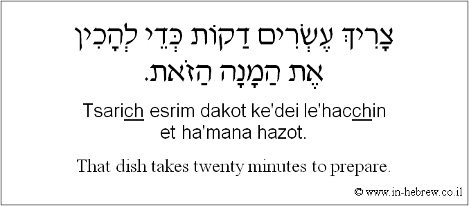 English to Hebrew: That dish takes twenty minutes to prepare.