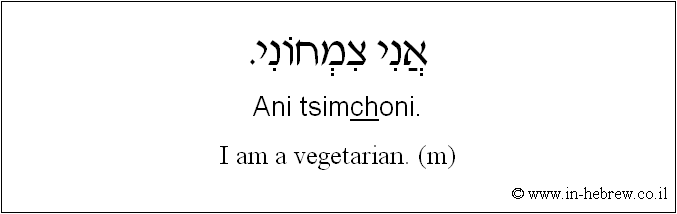 English to Hebrew: I am a vegetarian. ( m )