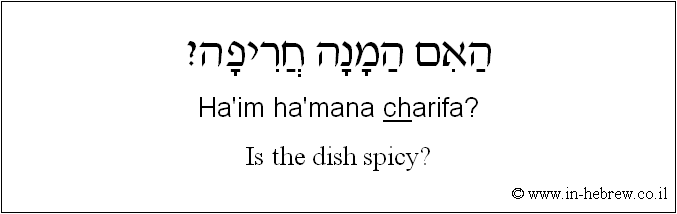 English to Hebrew: Is the dish spicy?