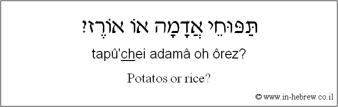 English to Hebrew: Potatos or rice?