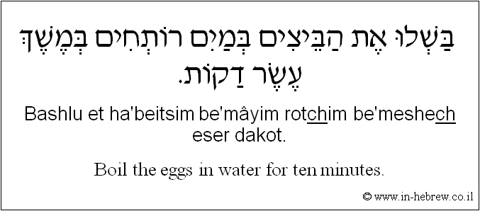 English to Hebrew: Boil the eggs in water for ten minutes.