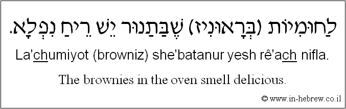 English to Hebrew: The brownies in the oven smell delicious.