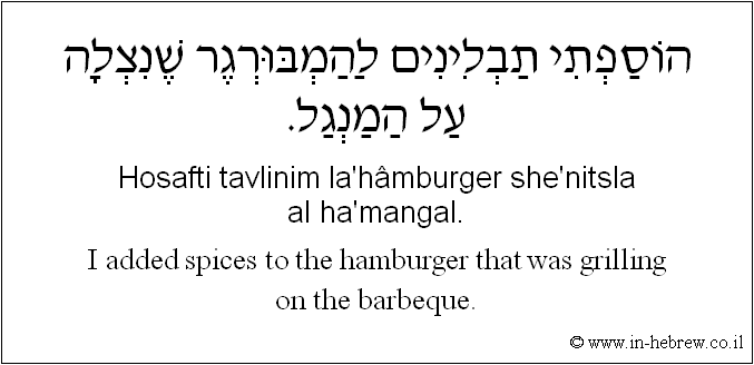 English to Hebrew: I added spices to the hamburger that was grilling on the barbeque.