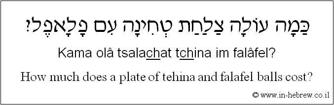 English to Hebrew: How much does a plate of tehina and falafel balls cost?