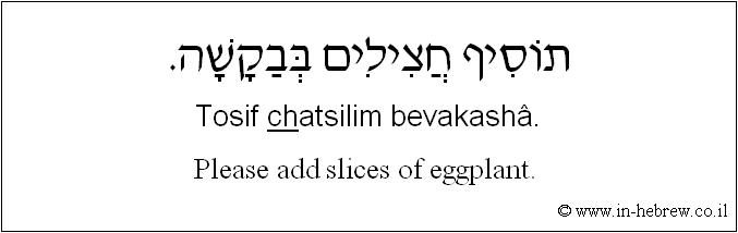 English to Hebrew: Please add slices of eggplant.