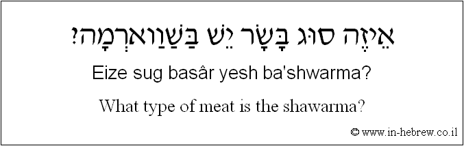 English to Hebrew: What type of meat is the shawarma?