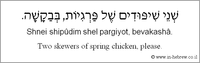 English to Hebrew: Two skewers of spring chicken, please.