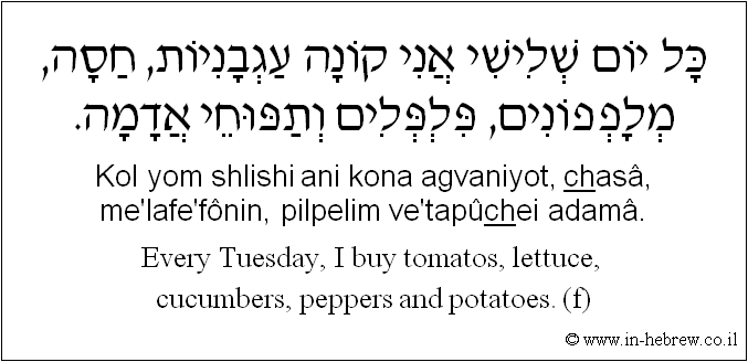 English to Hebrew: Every Tuesday, I buy tomatos, lettuce, cucumbers, peppers and potatoes. ( f )