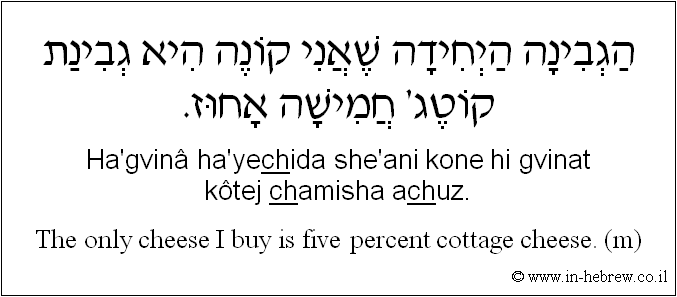 English to Hebrew: The only cheese I buy is five percent cottage cheese. ( m )