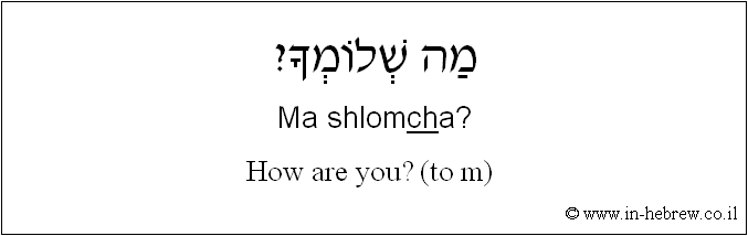 English to Hebrew: How are you? ( to m )