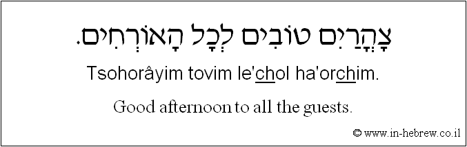 English to Hebrew: Good afternoon to all the guests.